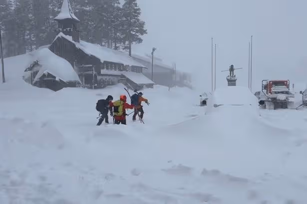Eight skiers dead and one still missing after California avalanche