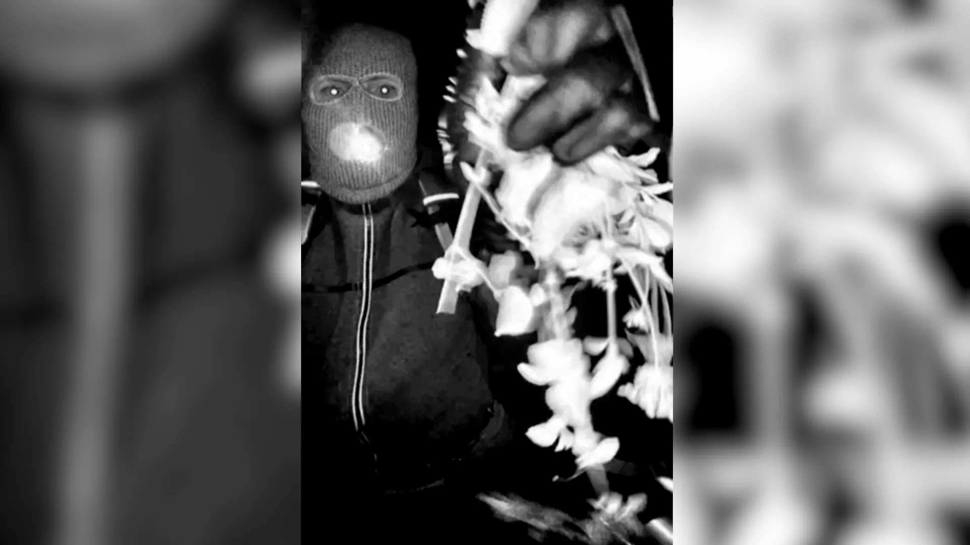 FBI releases images of suspect in Guthrie abduction | Newsfeed