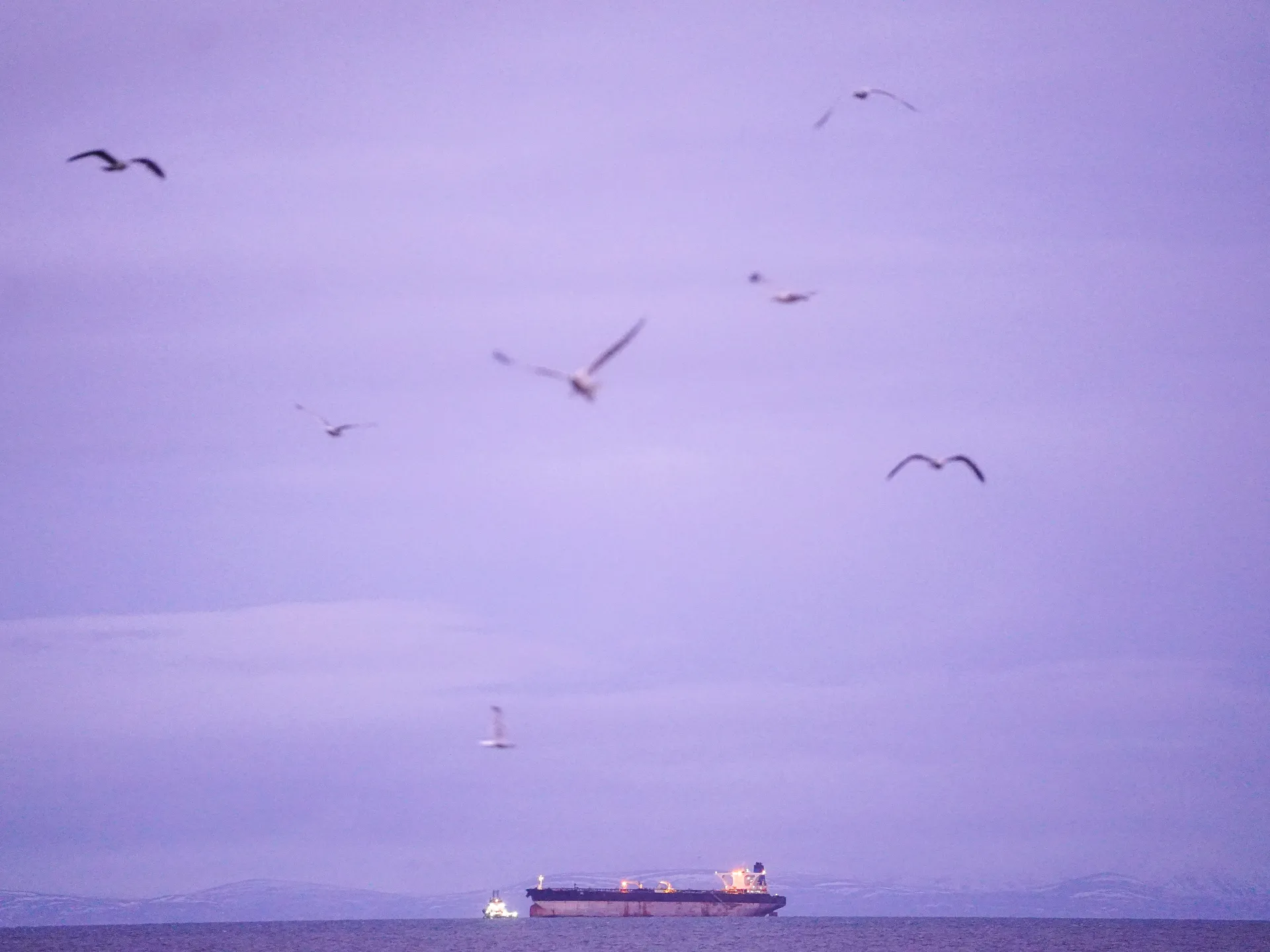 Iran banks big on murky oil ‘trustees’ as war with US on the horizon | Corruption News