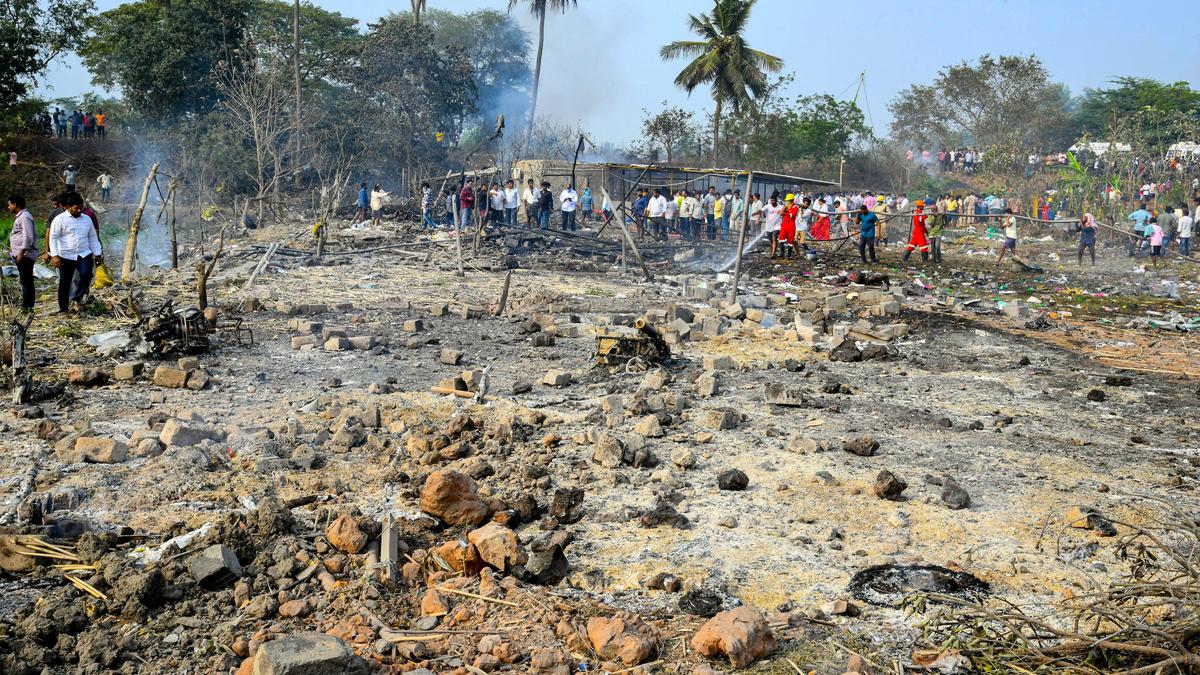 Andhra Pradesh firecracker unit blast: Gone in a flash fire