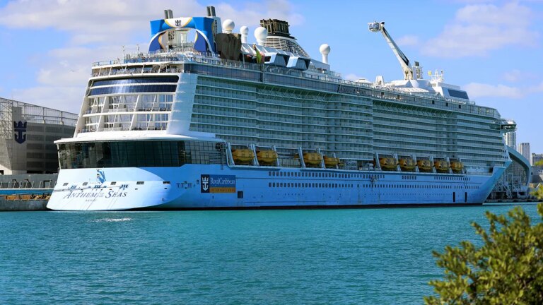 Cruise lines hit by rising fuel costs as Iran war drives oil prices up