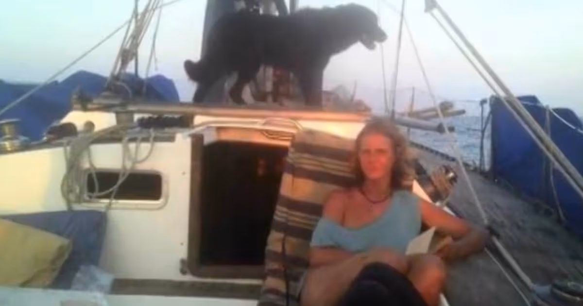 'I saw missing MH370 on fire as it crashed into the ocean and I know exactly where'