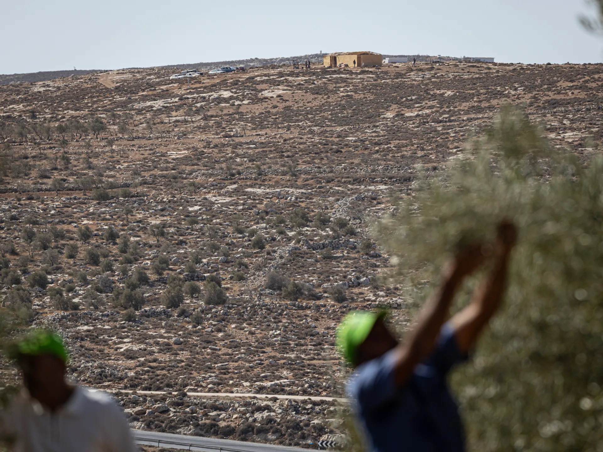Israeli settlers shoot Palestinians in West Bank villages, steal livestock | Israel-Palestine conflict News